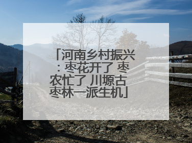 河南乡村振兴：枣花开了 枣农忙了 川塬古枣林一派生机