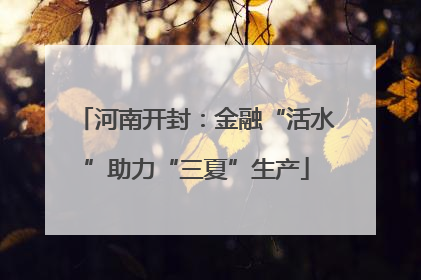 河南开封：金融“活水”助力“三夏”生产