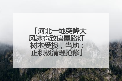 河北一地突降大风冰雹致房屋路灯树木受损，当地：正积极清理抢修