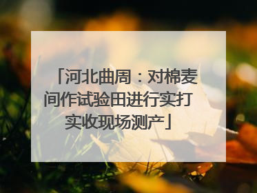 河北曲周：对棉麦间作试验田进行实打实收现场测产