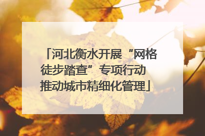 河北衡水开展“网格徒步踏查”专项行动 推动城市精细化管理