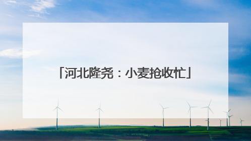 河北隆尧：小麦抢收忙