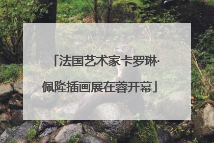 法国艺术家卡罗琳·佩隆插画展在蓉开幕