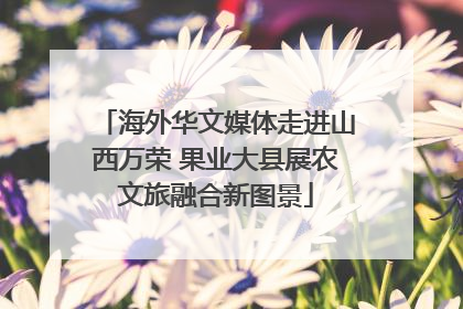海外华文媒体走进山西万荣 果业大县展农文旅融合新图景