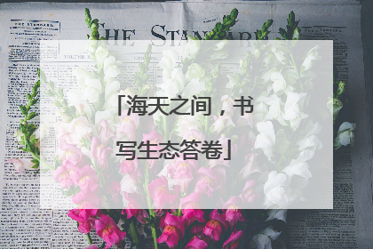 海天之间，书写生态答卷