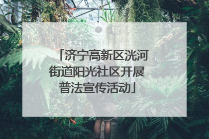 济宁高新区洸河街道阳光社区开展普法宣传活动