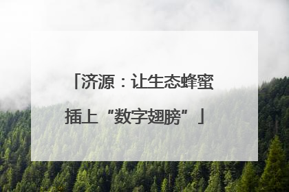 济源：让生态蜂蜜插上“数字翅膀”