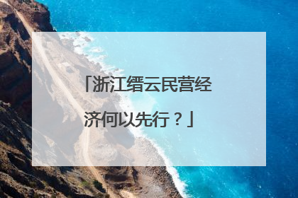 浙江缙云民营经济何以先行？