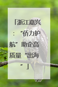 浙江嘉兴：“侨力护航”助企高质量“出海”