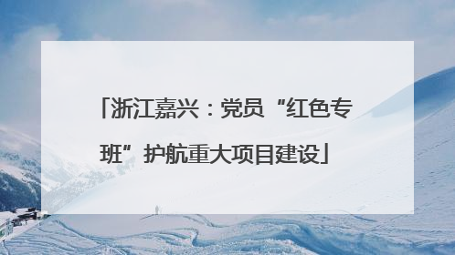 浙江嘉兴：党员“红色专班”护航重大项目建设