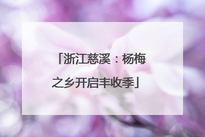 浙江慈溪：杨梅之乡开启丰收季