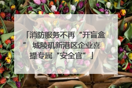 消防服务不再“开盲盒” 城陵矶新港区企业喜提专属“安全官”