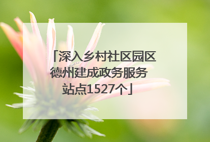 深入乡村社区园区 德州建成政务服务站点1527个