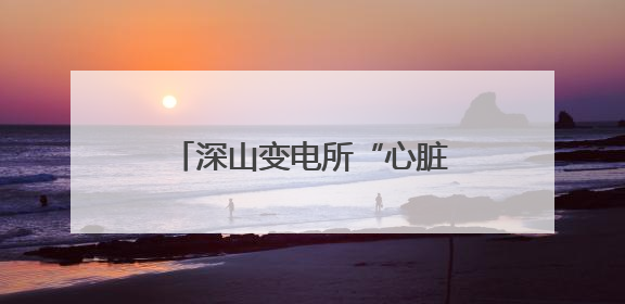 深山变电所“心脏守护者”：孤独守望护航旅客平安