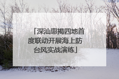深汕惠揭四地首度联动开展海上防台风实战演练