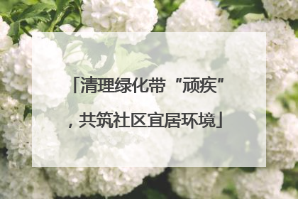 清理绿化带“顽疾”，共筑社区宜居环境