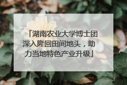 湖南农业大学博士团深入隆回田间地头，助力当地特色产业升级