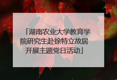湖南农业大学教育学院研究生赴徐特立故居开展主题党日活动