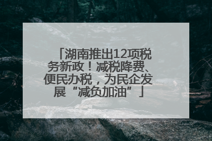 湖南推出12项税务新政！减税降费、便民办税，为民企发展“减负加油”