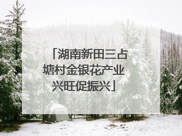湖南新田三占塘村金银花产业兴旺促振兴