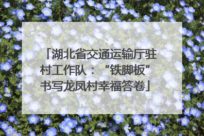 湖北省交通运输厅驻村工作队：“铁脚板”书写龙凤村幸福答卷