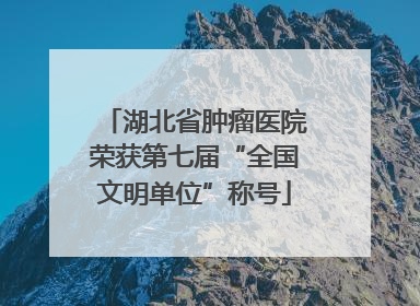 湖北省肿瘤医院荣获第七届“全国文明单位”称号