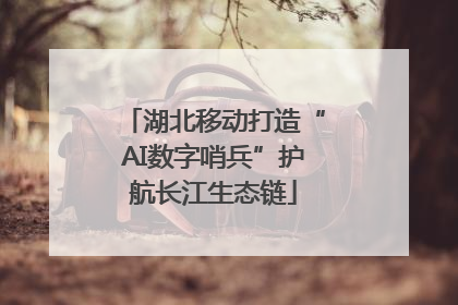 湖北移动打造“AI数字哨兵”护航长江生态链