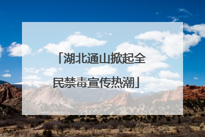 湖北通山掀起全民禁毒宣传热潮