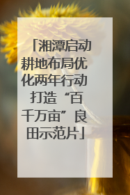 湘潭启动耕地布局优化两年行动 打造“百千万亩”良田示范片