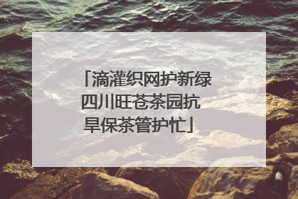 滴灌织网护新绿 四川旺苍茶园抗旱保茶管护忙
