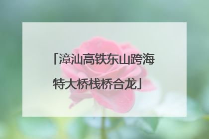 漳汕高铁东山跨海特大桥栈桥合龙