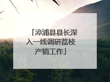 漳浦县县长深入一线调研荔枝产销工作
