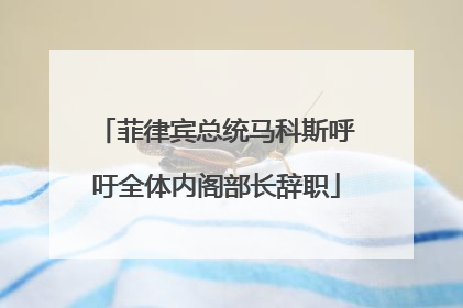 菲律宾总统马科斯呼吁全体内阁部长辞职
