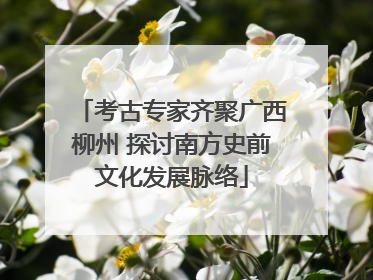 考古专家齐聚广西柳州 探讨南方史前文化发展脉络