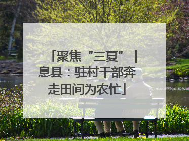 聚焦“三夏”｜息县：驻村干部奔走田间为农忙
