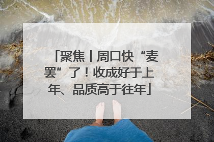 聚焦丨周口快“麦罢”了！收成好于上年、品质高于往年