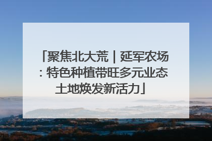 聚焦北大荒｜延军农场：特色种植带旺多元业态 土地焕发新活力