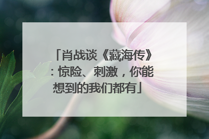 肖战谈《藏海传》：惊险、刺激，你能想到的我们都有