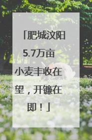 肥城汶阳5.7万亩小麦丰收在望，开镰在即！