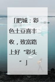 肥城：彩色土豆喜丰收，致富路上好“彩头”
