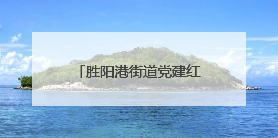 胜阳港街道党建红纽带，串起商居共治 “烟火圈”