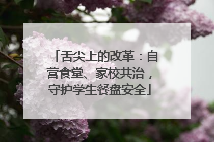 舌尖上的改革：自营食堂、家校共治，守护学生餐盘安全