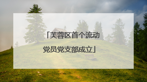芙蓉区首个流动党员党支部成立