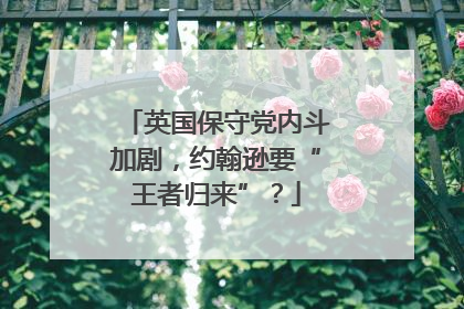 英国保守党内斗加剧，约翰逊要“王者归来”？