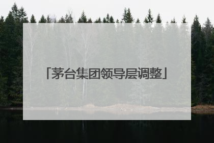 茅台集团领导层调整