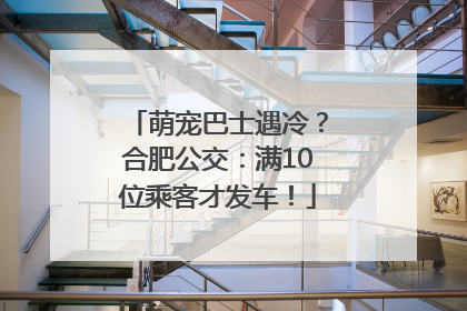 萌宠巴士遇冷？合肥公交：满10位乘客才发车！