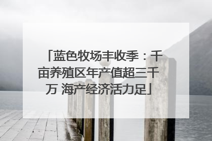 蓝色牧场丰收季：千亩养殖区年产值超三千万 海产经济活力足