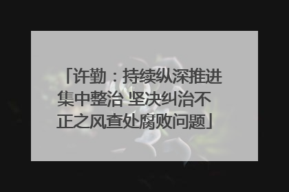 许勤：持续纵深推进集中整治 坚决纠治不正之风查处腐败问题