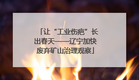 让“工业伤疤”长出春天——辽宁加快废弃矿山治理观察