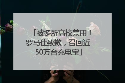 被多所高校禁用！罗马仕致歉，召回近50万台充电宝
